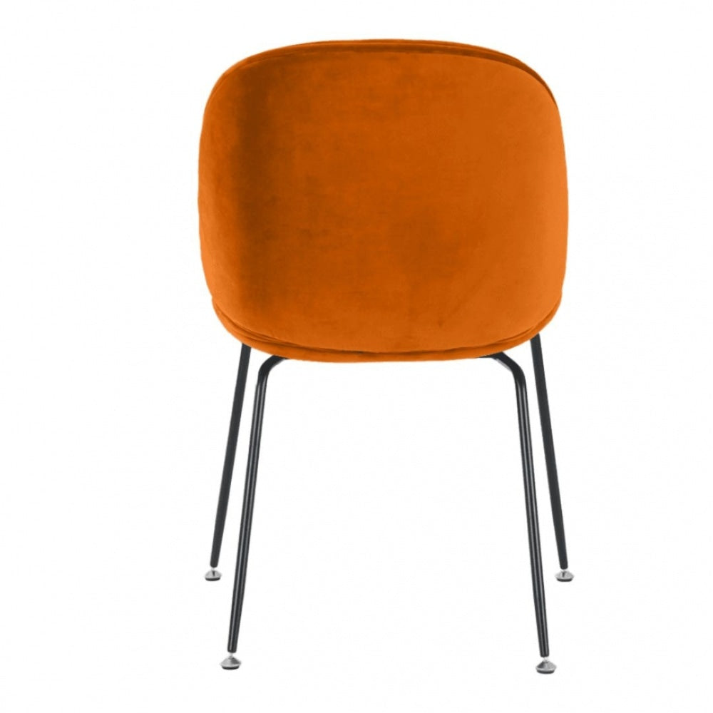 Luxurious Orange Velvet Dining Chair with Black Metal Legs