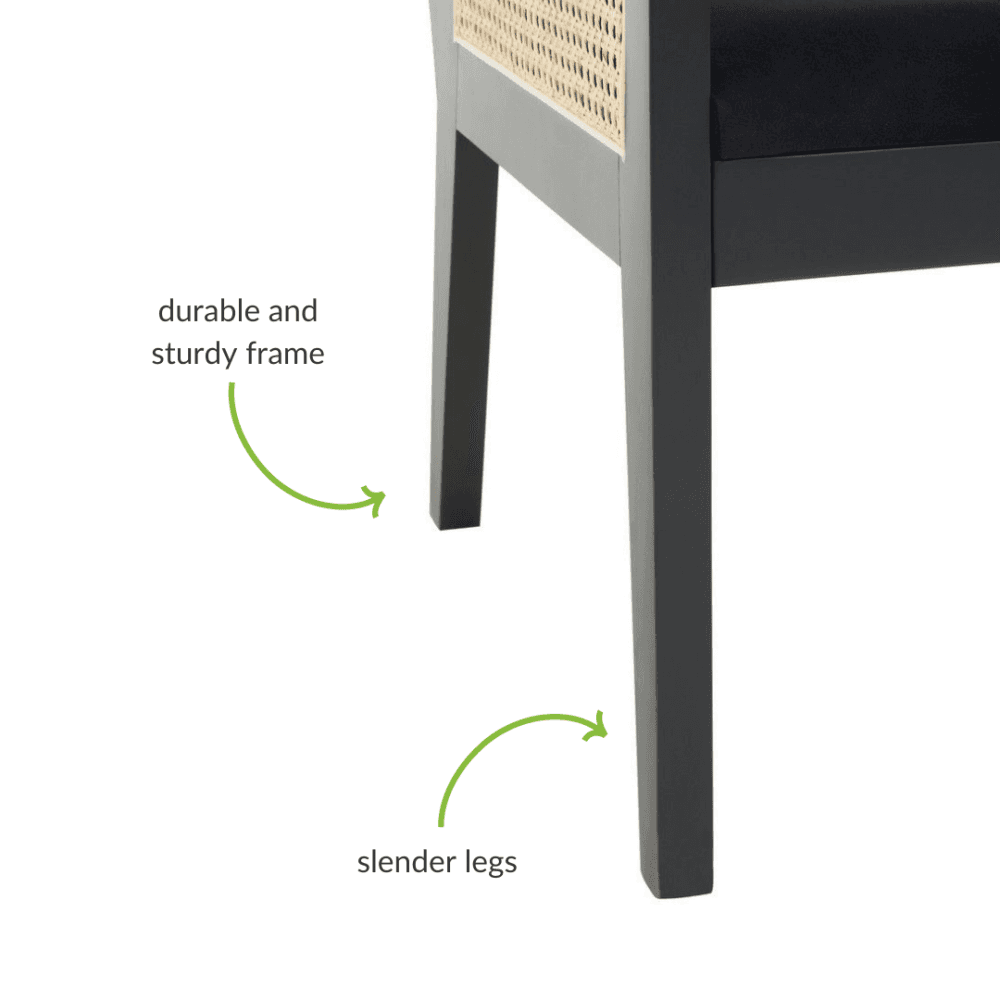 Eco-Friendly Cane Rattan And Velvet Black Armchair