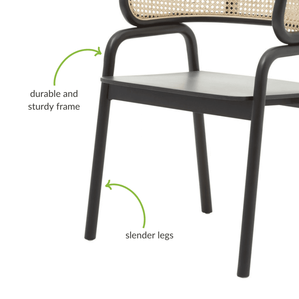 Eco-Friendly Rattan And Black Birchwood Dining Chair