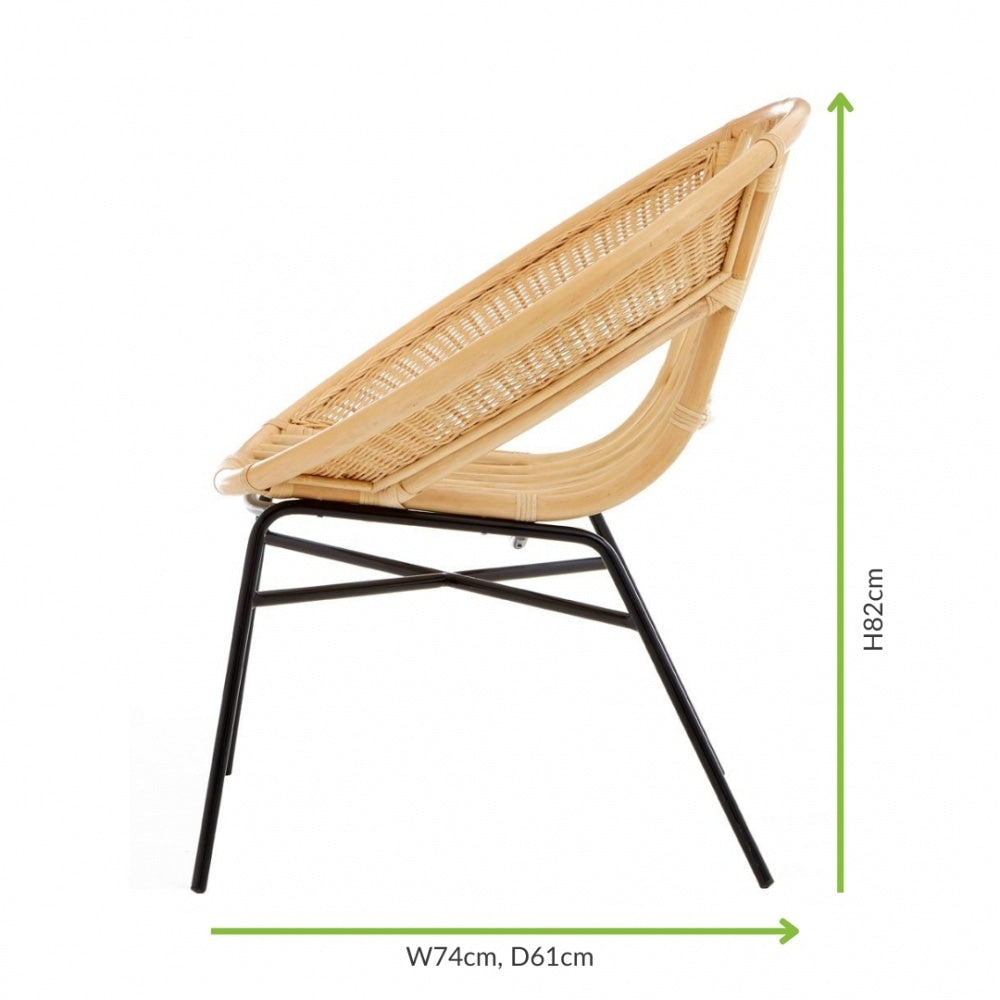 Natural Rattan Round Armchair With Black Iron Legs